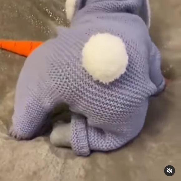 Meet your Posher, Shayma - Picture 1 of 1